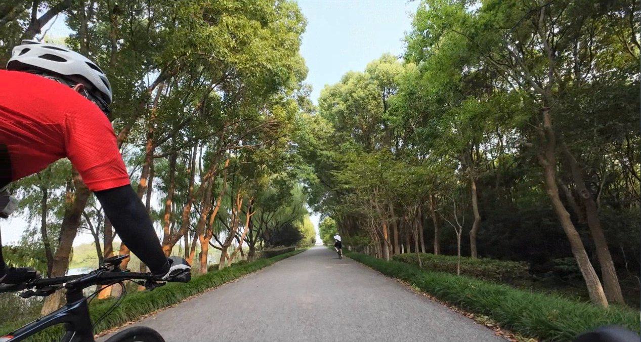 Pasted image 20241101135207.png