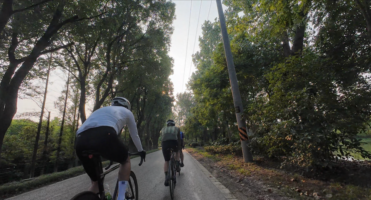 Pasted image 20241101140220.png